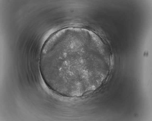 X0000112800003200909111247