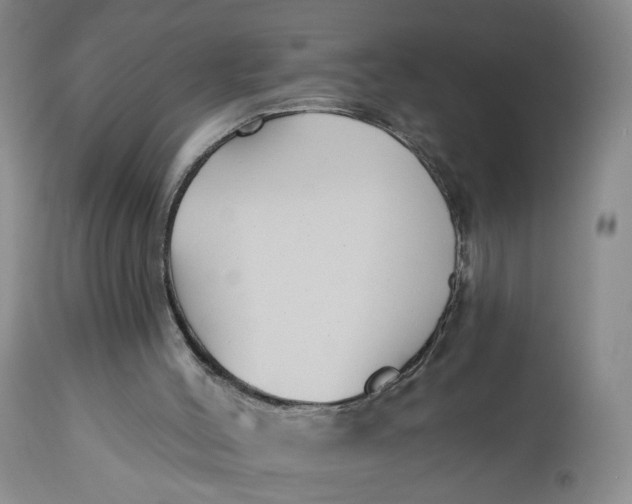 X0000112800004200909111247