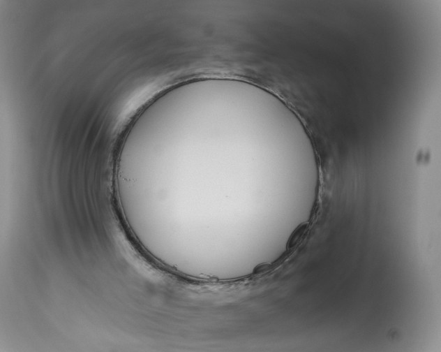 X0000112800005200909111247