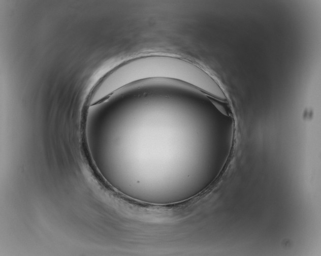 X0000112800008200909111247