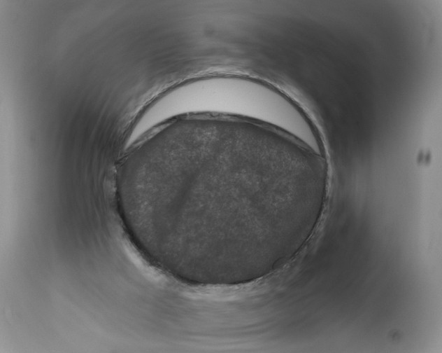 X0000112800009200909111247