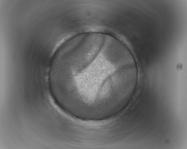 X0000112800010200909111247