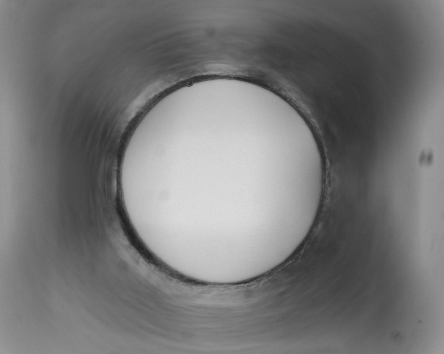 X0000112800011200909111247