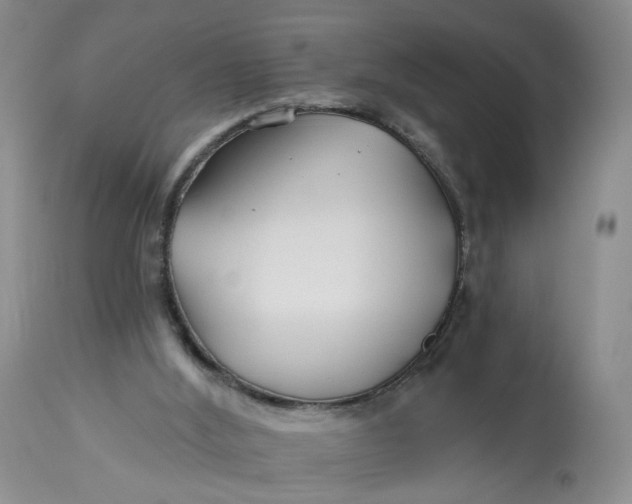 X0000112800012200909111247