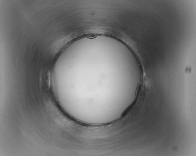 X0000112800013200909111247