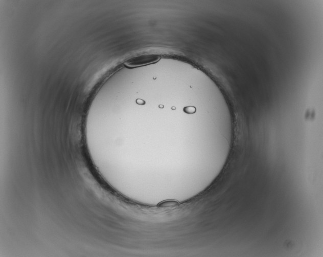 X0000112800015200909111247