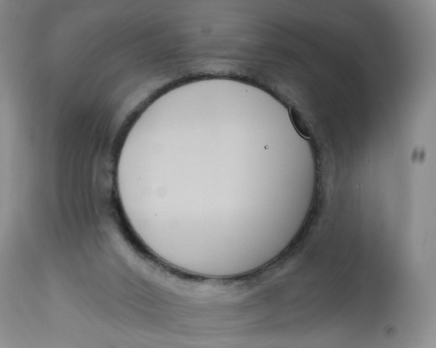 X0000112800016200909111247