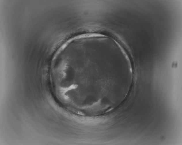 X0000112800018200909111246