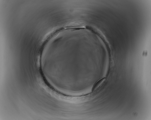 X0000112800019200909111246