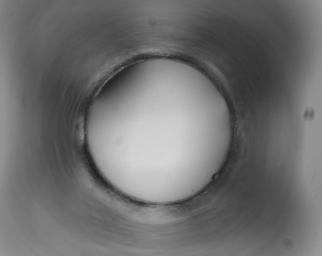 X0000112800020200909111246