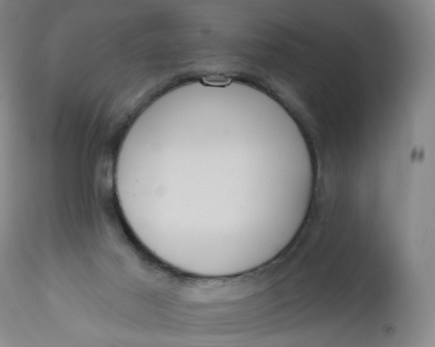 X0000112800021200909111246