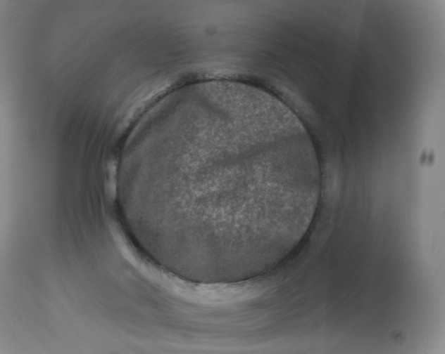 X0000112800022200909111246