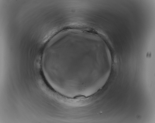 X0000112800023200909111246