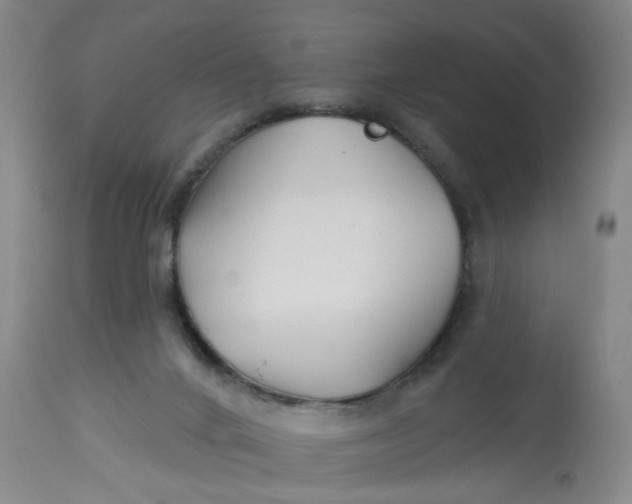 X0000112800024200909111246