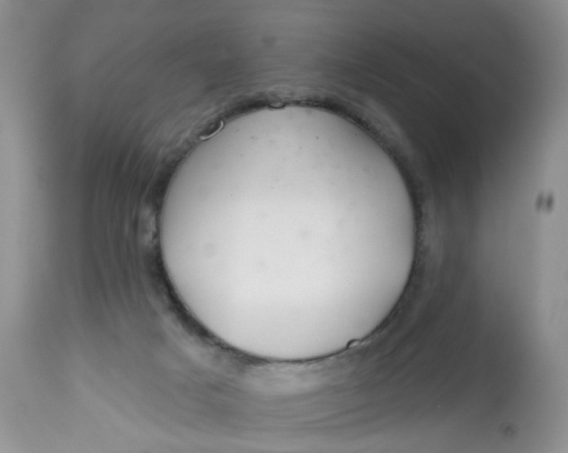 X0000112800025200909111246