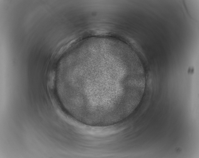 X0000112800026200909111246