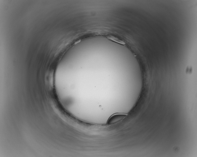 X0000112800028200909111246