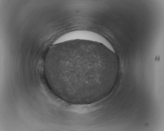 X0000112800029200909111246