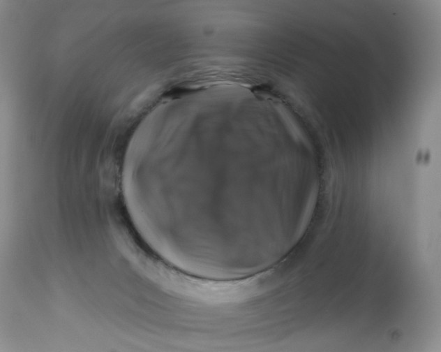 X0000112800031200909111246