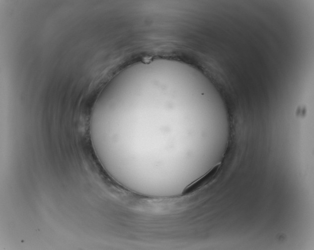 X0000112800033200909111246