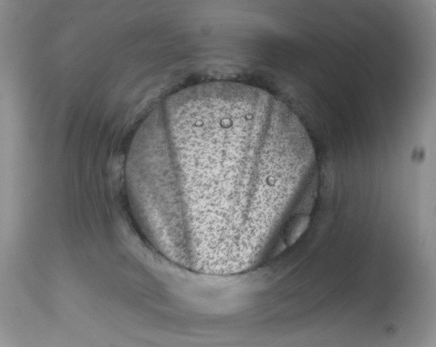 X0000112800034200909111246