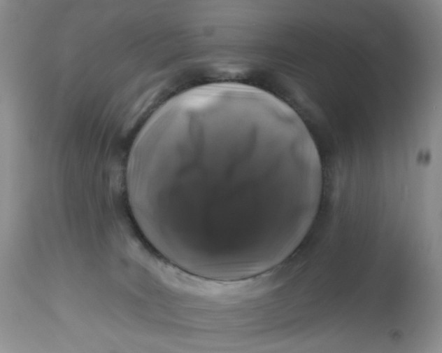 X0000112800035200909111246