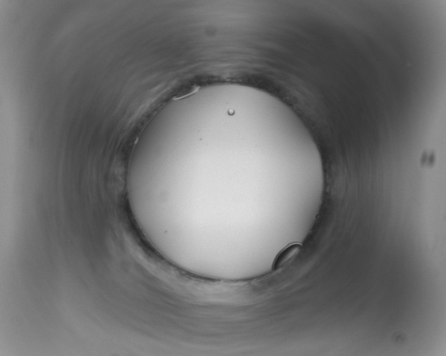 X0000112800036200909111246