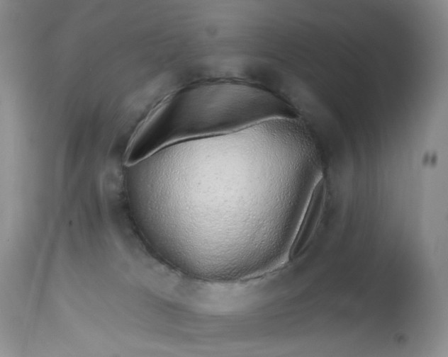 X0000112800037200909111246