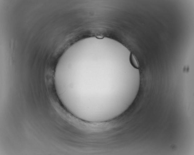 X0000112800038200909111246