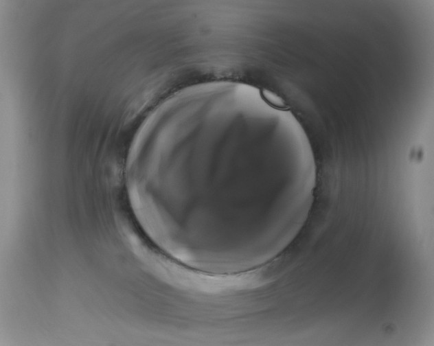 X0000112800039200909111246