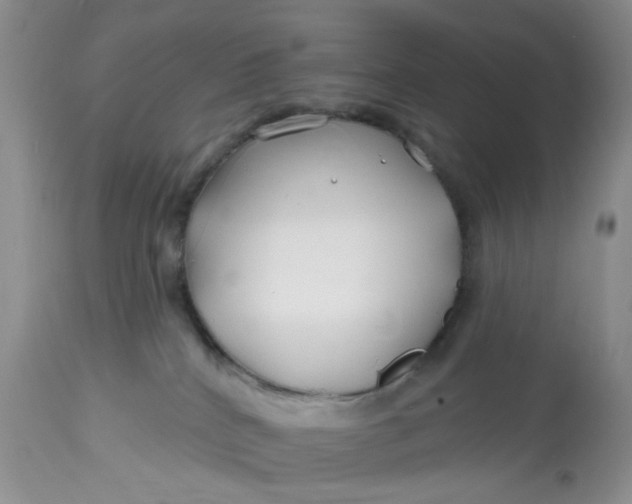 X0000112800040200909111246