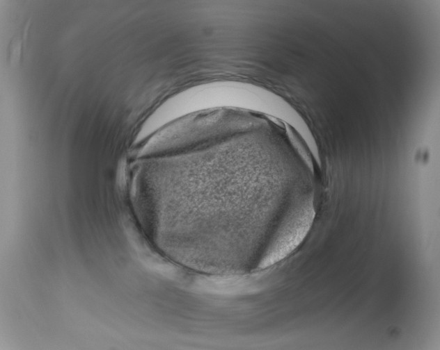 X0000112800041200909111246