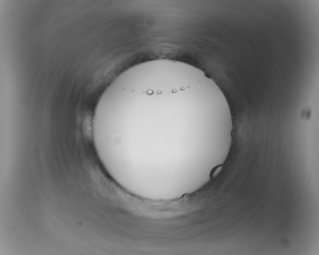 X0000112800042200909111246