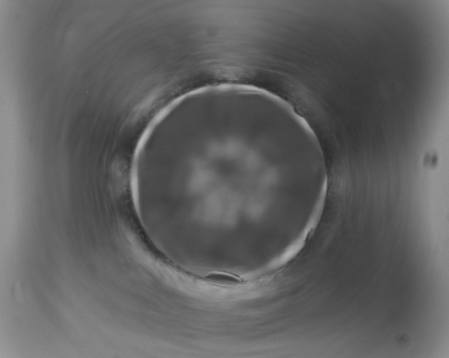 X0000112800043200909111246