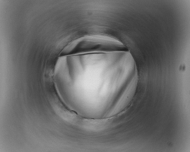 X0000112800045200909111246