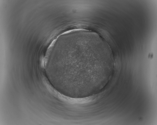 X0000112800046200909111246