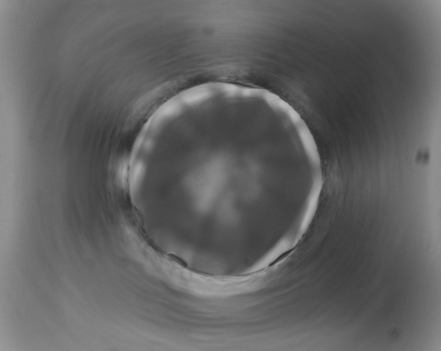 X0000112800047200909111246