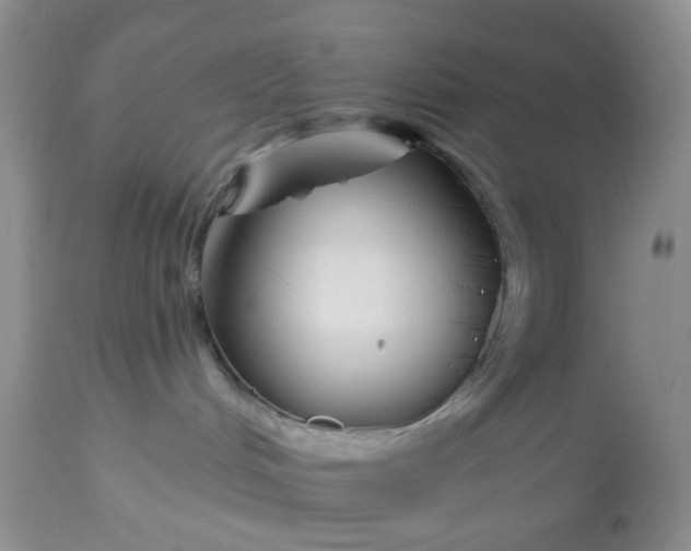 X0000112800048200909111246