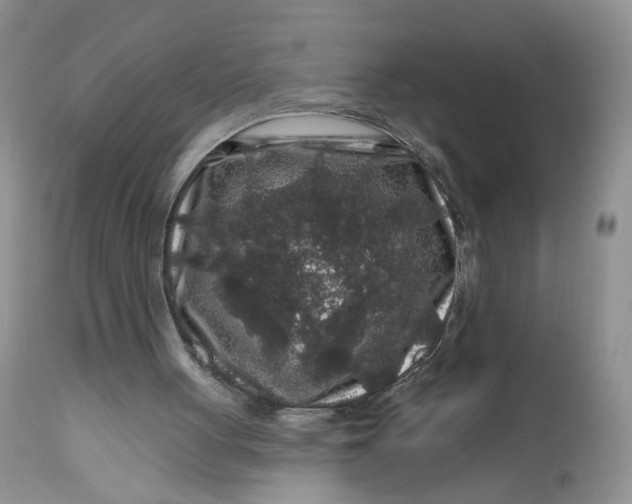 X0000112800051200909111245