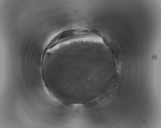 X0000112800052200909111245