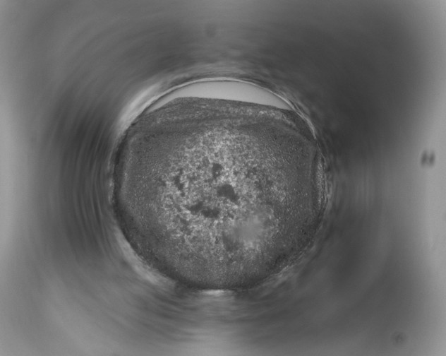 X0000112800053200909111245