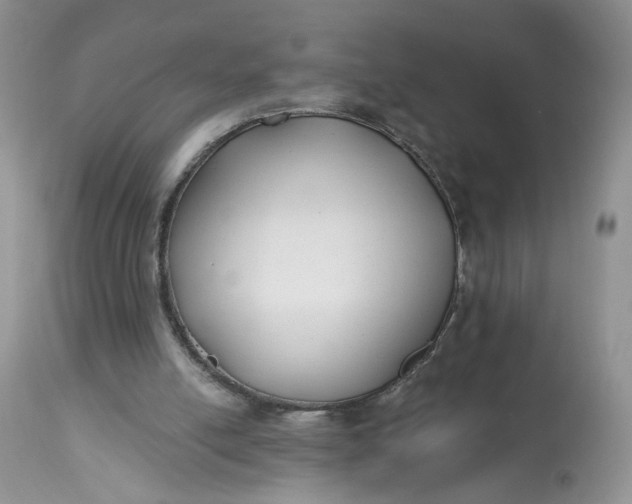 X0000112800054200909111245