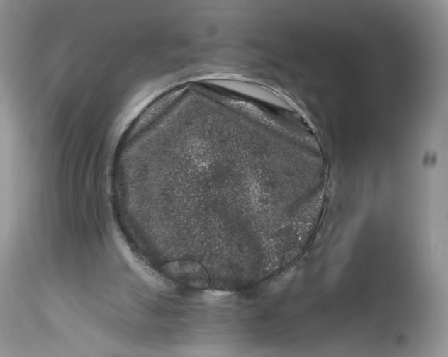 X0000112800055200909111245