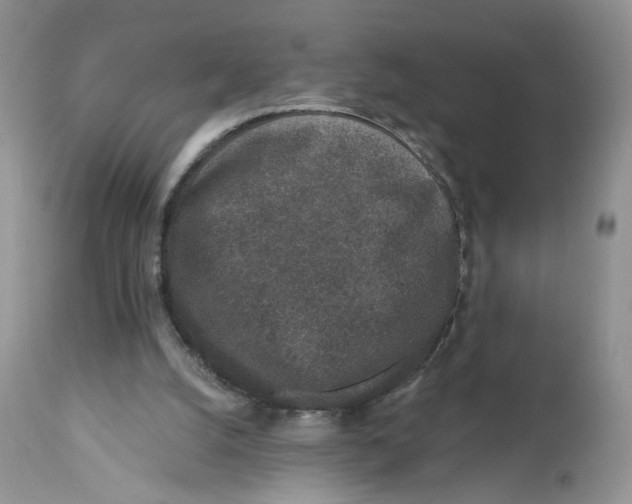 X0000112800056200909111245