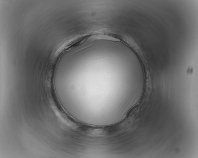 X0000112800058200909111245