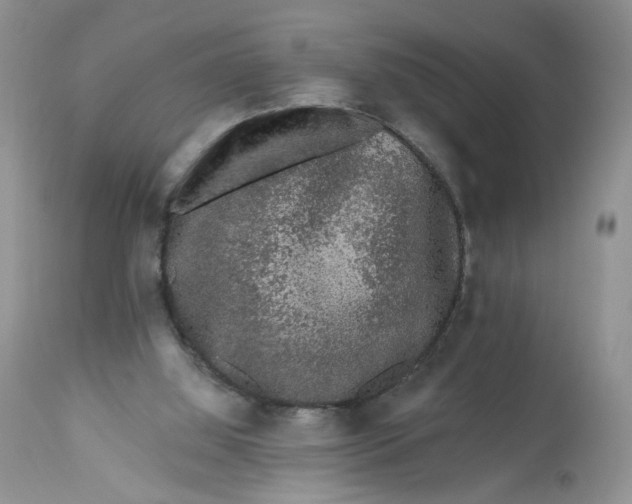 X0000112800060200909111245