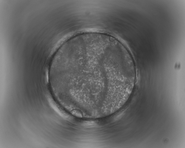 X0000112800061200909111245