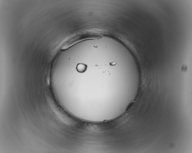 X0000112800062200909111245