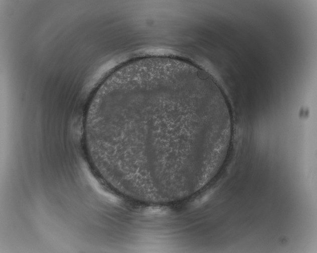 X0000112800063200909111245