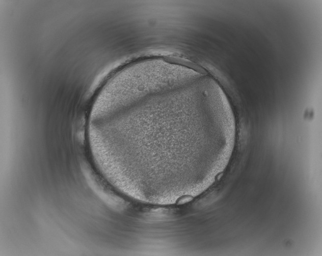 X0000112800064200909111245